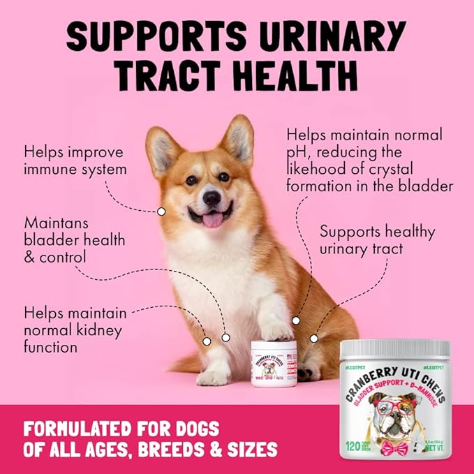 Cranberry UTI Chews for Dogs Bladder Suppot + D-Mannose Supports Kidney Urinary Tract 120 Chews and Probiotics for Dogs Natural Digestive Enzymes Prebiotics for Allergy 120 Chews