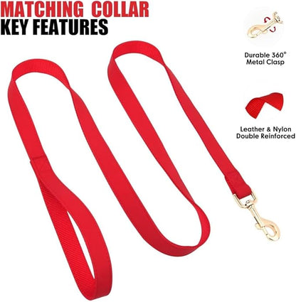 PET ARTIST Soft PU Leather Dog Collar and Leash Set, Bright & Stylish 5FT PU Leather Leash and Collar Set, Durable Pet Collars with Quick Release Metal Buckle for Small Dogs,Red,S(9"-14")