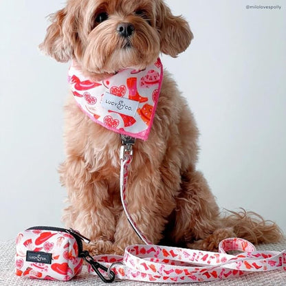 Howdy, Honey Leash