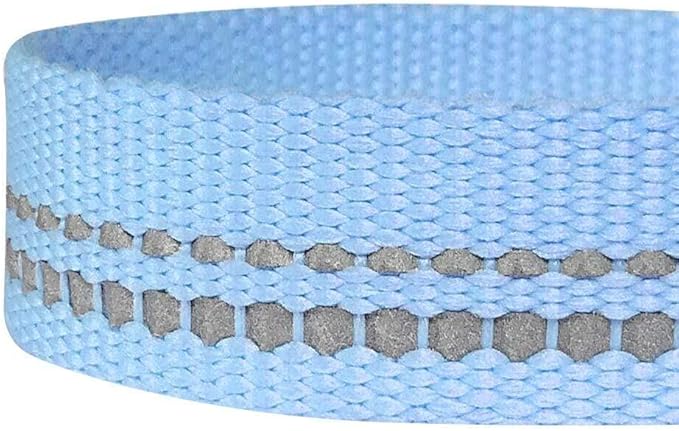 Blueberry Pet 3M Reflective Pastel Color Dog Leash with Soft & Comfortable Handle, 5 ft x 5/8", Baby Blue, Small, Leashes for Dogs