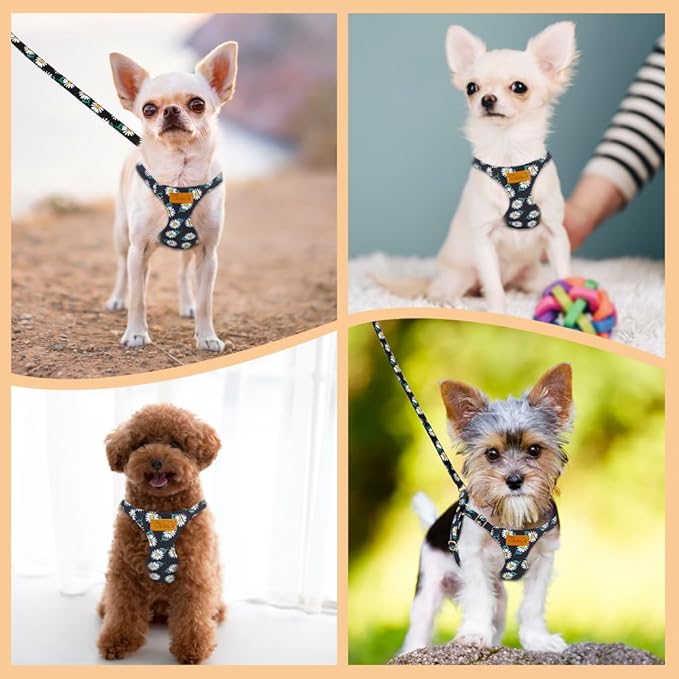 Lukovee Puppy Harness and Leash Set, No Pull Lightweight Soft Suede Adjustable Pet Harness Vest with Snap Buckle for Puppy Small and Medium Size Dog (Black-S)