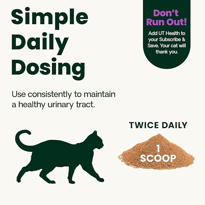 VetriScience UT Health Powder, UT Strength Cranberry D-Mannose Bladder and Urinary Tract Supplement for Cats, Bromelain and Probiotics, Healthy Mineral Balance, Chicken & Cheese, 60 Scoops