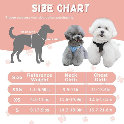Guiding Star Dog Harness Small Sized Dog with Multifunction Leash, No Pull Puppy Dog Harness and Leash Set Training, Cute Soft Adjustable Dog Walking Harness Pet Vest Harness (Black-S)