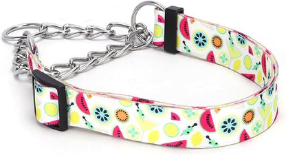 Martingale Dog Collar with Stainless Steel Chain - Limited Chain Cinch Training Collar for No Pull Training Dog - Flower Multicolor Cute Patterns - Premium No Slip Collar (HA12NO3, L)