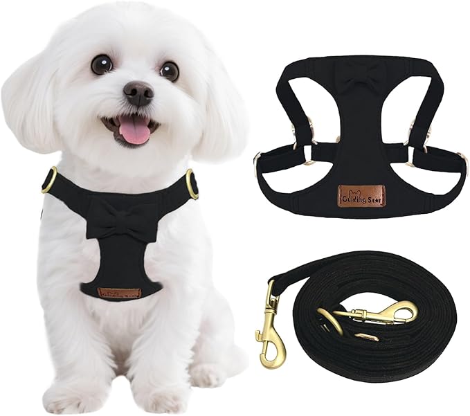 Guiding Star Dog Harness Small Sized Dog with Multifunction Leash, No Pull Puppy Dog Harness and Leash Set Training, Cute Soft Adjustable Dog Walking Harness Pet Vest Harness (Black-S)