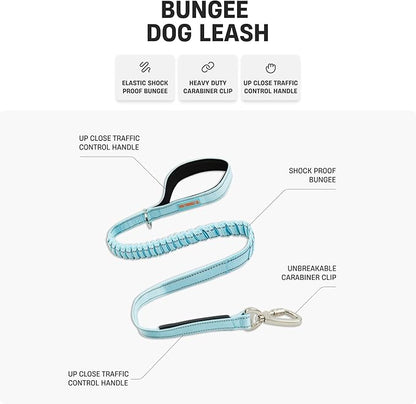 Dog Friendly Co. Bungee Dog Leash | Strain Free & Shock Resistant for Control | Neoprene Padded Handle, Heavy-Duty Carabiner Clip, and D-Ring | Red, Size Regular