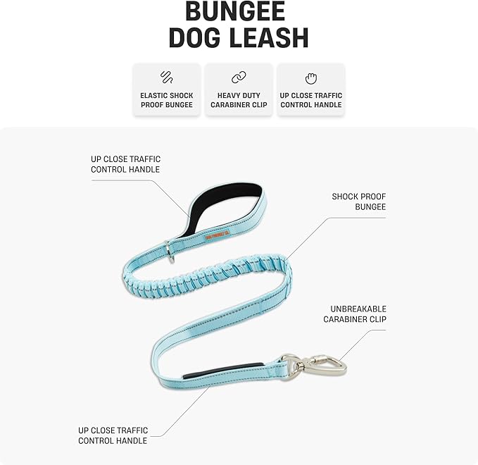 Dog Friendly Co. Bungee Dog Leash | Strain Free & Shock Resistant for Control | Neoprene Padded Handle, Heavy-Duty Carabiner Clip, and D-Ring | Red, Size Small