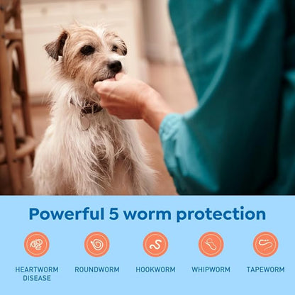 Interceptor Plus Prevention for Heartworm + 4 Other Worms for Dogs 8.1-25 lbs. | 12 Chews, 12-Month Supply