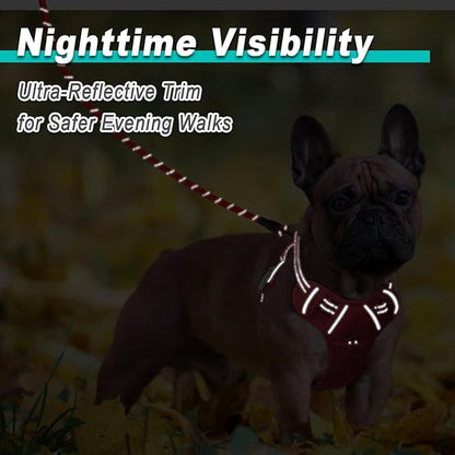 BARKBAY Dog Harness No Pull Mesh for Small Dogs - Adjustable, Reflective, Comfortable, No Choke, Heavy-Duty - Perfect for Outdoor Training, Walking, and Hiking - Strong & Durable - S & Red Mesh