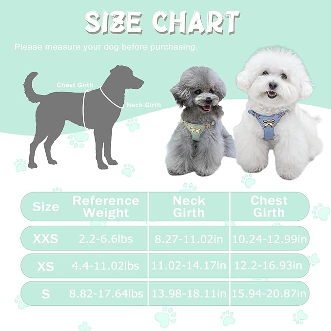 No Pull Dog Harness and Leash Set for Small Sized Dog Training Puppy Harnesses with Multifunction Dog Leash, Soft Adjustable Denim No Choke Escape Proof Pet Harness for Small and Medium Dog (Teal XXS)