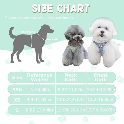 No Pull Dog Harness and Leash Set for Small Sized Dog Training; Puppy Harnesses with Multifunction Dog Leash, Soft Adjustable Denim No Choke Escape Proof Pet Harness for Small and Medium Dog (Teal XS)