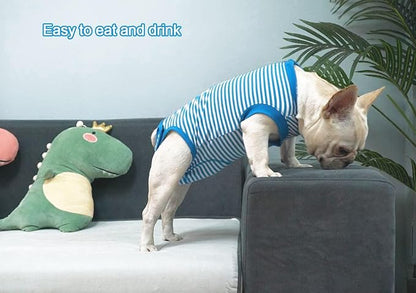 Dog Blue Recovery Suit for X-Small Female Spay,Male Dog Surgery Suit,Narrow Blue-White XS