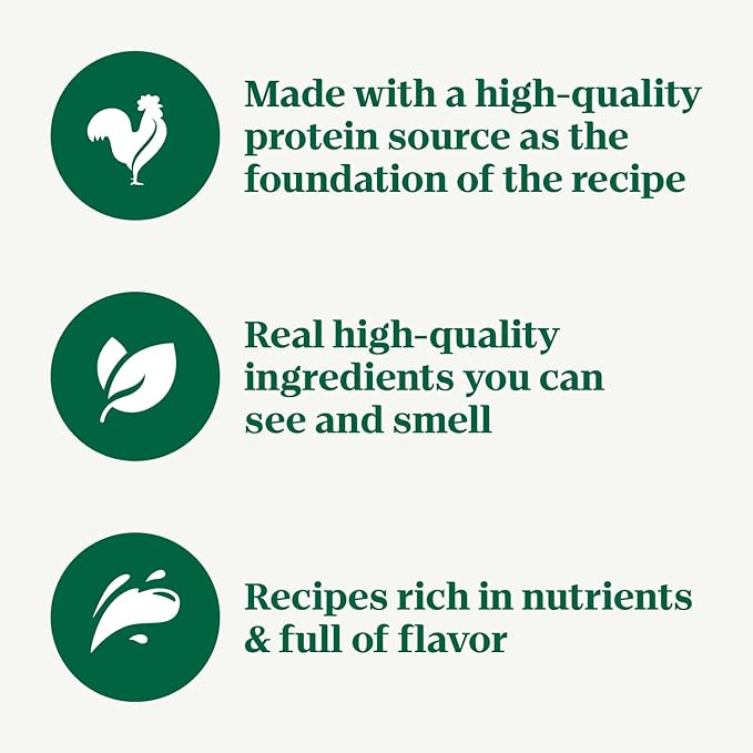 Nutro Crunchy Dog Treats with Real Peanut Butter, Training Treats for Dogs, 16 oz. Bag