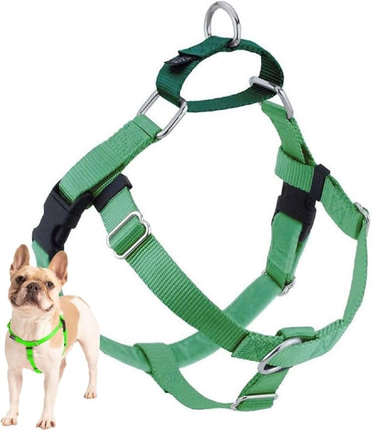 2 Hounds Design Freedom No Pull Dog Harness, Adjustable Harness, Easy Walking & Comfortable Control, Fits Small, Medium & Large Dogs, Solid Colors, Made in USA, 1" XL, Neon Green