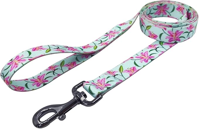 Dog Collar Leash Set, Floral Pattern, Polyester Material, Adjustable Collar and 5ft Matchcing Leash, for Puppy Dogs.(XS, Green Lily)