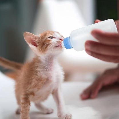 TOYANDONA 3Pcs Cat Nursing Bottles for Kittens Dog Milk Feeding Bottles Leak Design Easy to Use for Pet Feeding for Newborns and Puppies