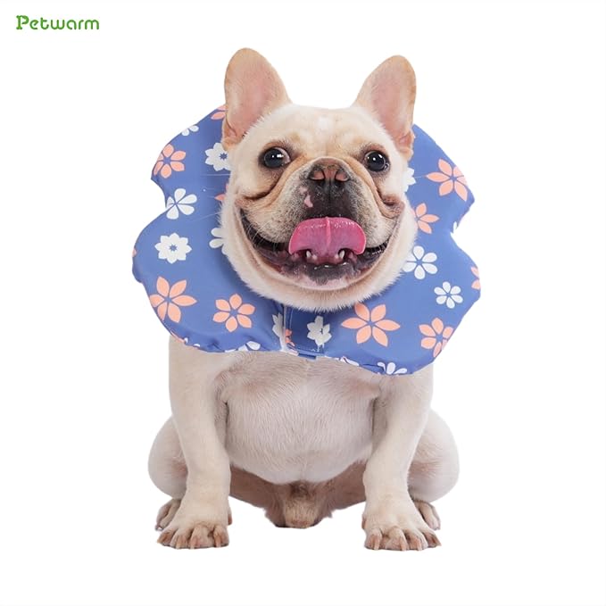 PetWarm Dog Recovery Collar, Recovery Collar for Dogs, Lightweight Soft Flower Design, Comfortable Neck Protector Helps Discourage Licking, Post-Visit Protective Collars, Flower Print, Blue, L