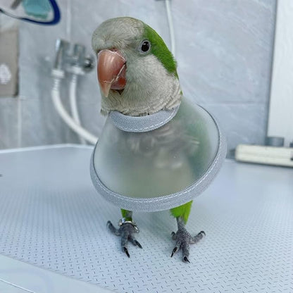 Adjustable Parrot Cone Collar, Safe and Practical Cotton Collar to Prevent Bites and Licking Wounds, to Help heal (4XL)