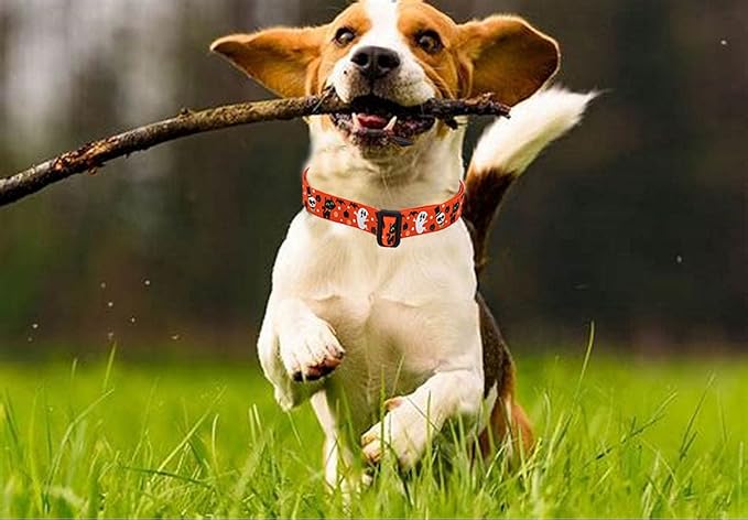 Mihqy Halloween Dog Collar - Pumpkin Bat Ghost Pattern - Adjustable for Small Medium Large Dogs(Halloween,S)