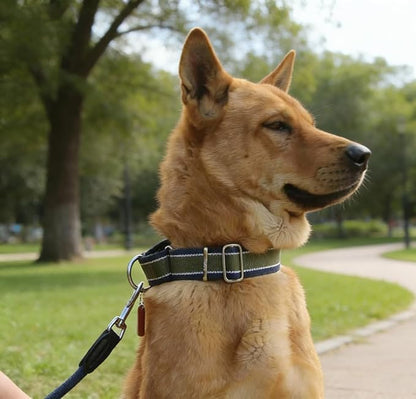 Martingale Collar 1.5 Inch Wide 1600D Extra Strong Anti Escape Nylon Dog Collar, No Pull Heavy Duty Dog Collar with 3-Color Stripe for Medium Dogs (M, Army Green & Gray)