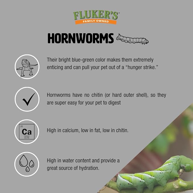 Fluker's Live Hornworms, 12 Count Cup, Premium High-Calcium Treats for Reptiles, Amphibians, and Birds