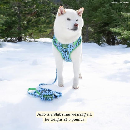Lucy & Co. x Parks Project Feel the Earth Breath Dog Leash, Durable Matching Dog Lead with Heavy Duty Hardware, Small