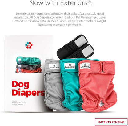 Pet Parents® Washable Dog Diapers (3pack) + Extendrs® of Durable Doggie Diapers, Premium Dog Diapers Female (Medium, Southern Belle)