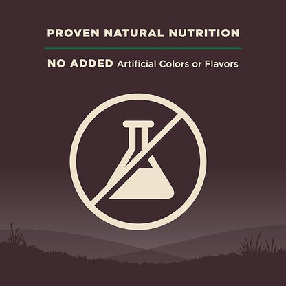 Wellness CORE Adult Dry Dog Food, Grain Free Kibble, Natural, High Protein, Lamb Recipe, 4 lb Bag