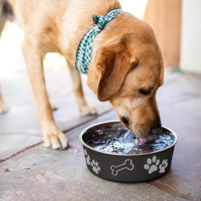 Loving Pets Bella Dog Bowls- Stainless Steel Dog & Cat Bowls - Spill Proof Dog Food Bowl, Cat Bowl, Puppy Essentials & Pet Supplies Great for Home & Travel (Small 10-20 lbs, Espresso)