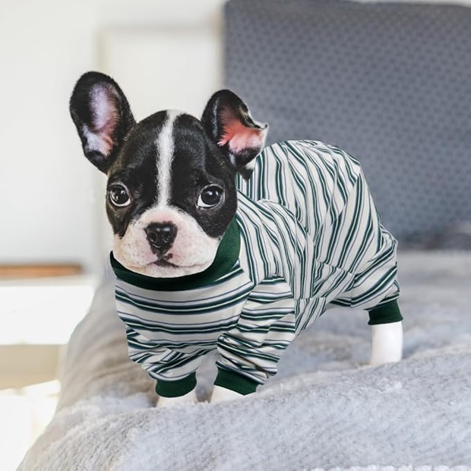 FEimaX Dog Recovery Suit After Surgery, Pet Abdominal Wounds Post Surgical Shirt for Dogs Cats, Puppy Spay Neuter Prevent Licking Onesie Alternative Bandages E-Collar & Cone