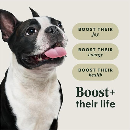 Instinct RawBoost Small Breed, Natural Dry Dog Food with FreshDried Raw, High Protein, Grain-Free Recipe - Real Beef, 3.5 lb. Bag