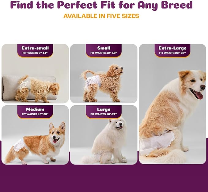 Inspire Pet Care Dog Diapers Female Dogs | Bulk Value Doggie Incontinence, Accidents, for Heat, Pee or Period and Housebreaking (X-Large (56 Count))