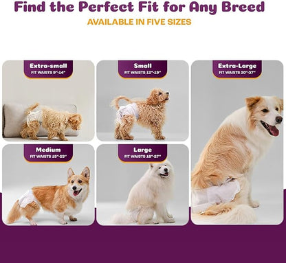 Inspire Pet Care Dog Diapers Female Dogs | Bulk Value Doggie Incontinence, Accidents, for Heat, Pee or Period and Housebreaking (Large (60 Count))