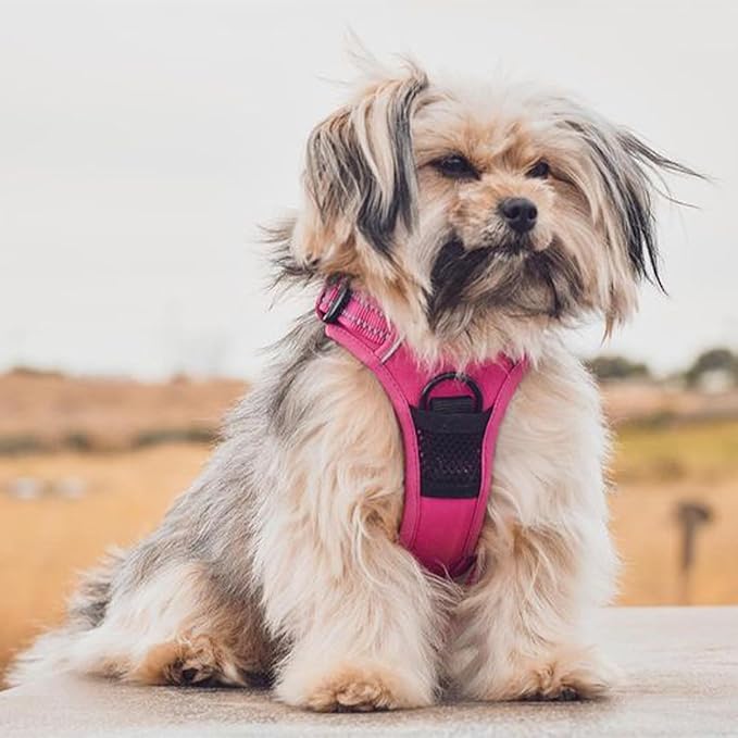 Voyager Dog Harness Dual Leash Attachment No-Pull Control Adjustable Soft but Strong Pet Harness for Medium and Large Dogs with 3M Reflective Technology, Fuchsia Nylon, S (Chest: 16-20")
