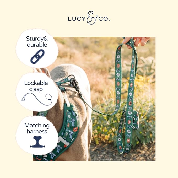 Lucy & Co. x Parks Project Power to the Parks Dog Leash, Durable Matching Dog Lead with Heavy Duty Hardware, Small