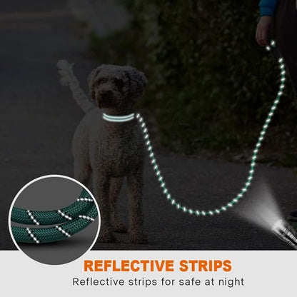 Taglory Rope Dog Leash 6 FT with Comfortable Padded Handle, Highly Reflective Threads Leash and Anti-Tangle Clip for Walking Small Dogs, 3/8 inch, Turquoise