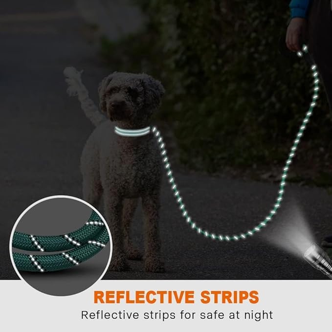 Taglory Rope Dog Leash 5 FT with Comfortable Padded Handle, Highly Reflective Threads Leash and Anti-Tangle Clip for Walking Small Dogs, 3/8 inch, Turquoise