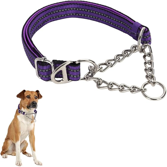Martingale Collar with Chain，Stainless Steel Chain for Dogs, No Pull Slip Cinch Choker Choke Collar Training Escape Proof Heavy Duty Dog Collar for Small Medium Large Pet Boy Male Dogs，Purple M