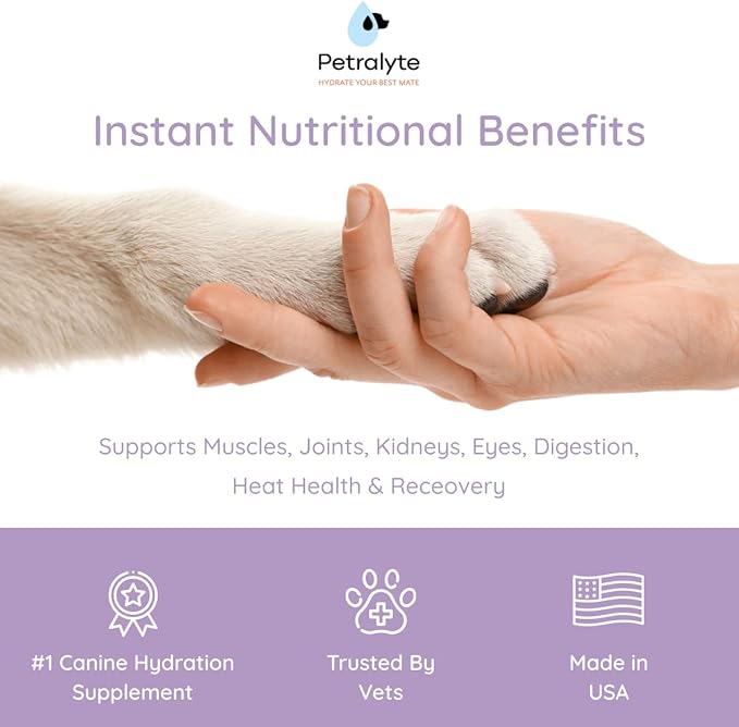 Dog Electrolytes and Joint Supplement | Glucosamine, Chondroitin & MSM for Inflammation and Mobility Support | Electrolytes for Dogs with Prebiotics | Unflavored | 16 Packets