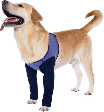 Coodeo Dog Recovery Sleeves, Cone Collar Alternative, Abrasion Resistant Dog Recovery Suit, Washable 2.5mm Thick and Waterproof, Pet Wounds Prevent Licking, Biting (Purple, L)