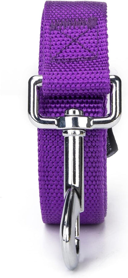 Strong Durable Nylon 10ft Long Dog Training Leash, Traction Rope, 1 Inch Wide, for Small and Medium Dog (Purple, 10 Feet)