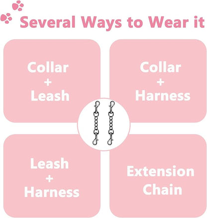 2 PCS Dog Collar Metal Safety Clip, Harness Collar Leash Chain Connector, Heavy Duty Double End Spring Backup Buckle Clasp, Escape-Proof Safety Accessory (Small, Black)