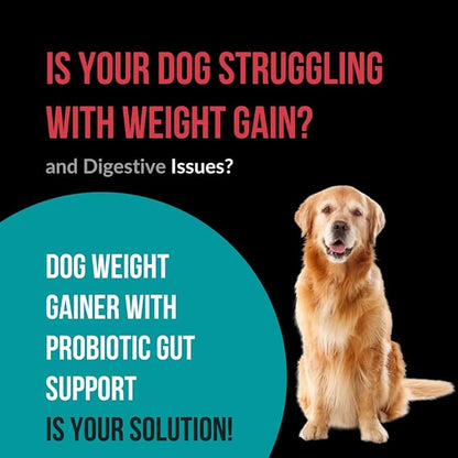 Dog Weight Gainer with Probiotic Gut Support - Weight Gain Supplements for Dogs - Canine and Dog Muscle Builder - 90 Servings - Made in The USA
