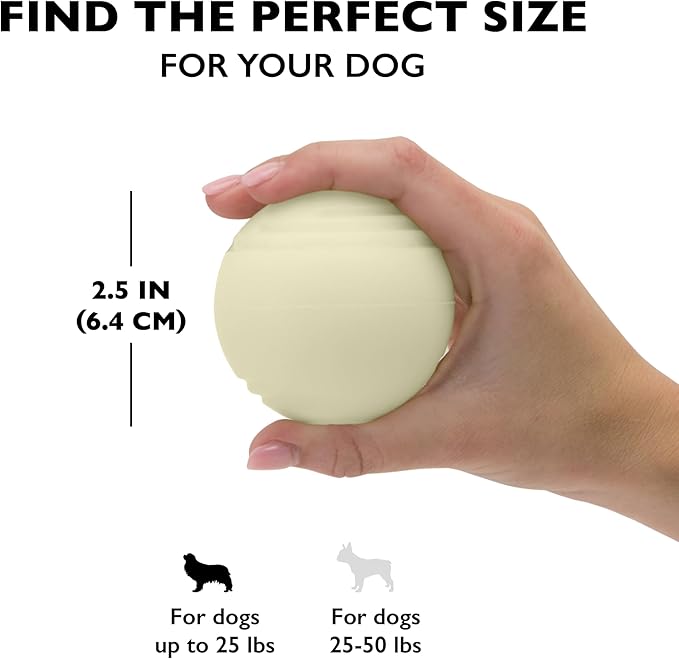Chew King by Mammoth Glow-in-the-Dark Dog Fetch Balls (8-Pack), Lattice Rubber Balls for Night Play, High Bounce Fetch Toys, Rechargeable Under Any Light, Medium 2.5"