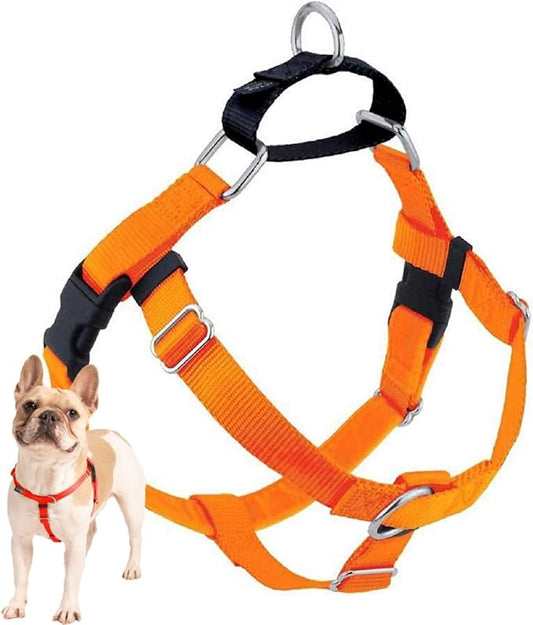 2 Hounds Design Freedom No Pull Dog Harness, Adjustable Harness, Easy Walking & Comfortable Control, Fits Small, Medium & Large Dogs, Solid Colors, Made in USA, 1" MD, Neon Organge
