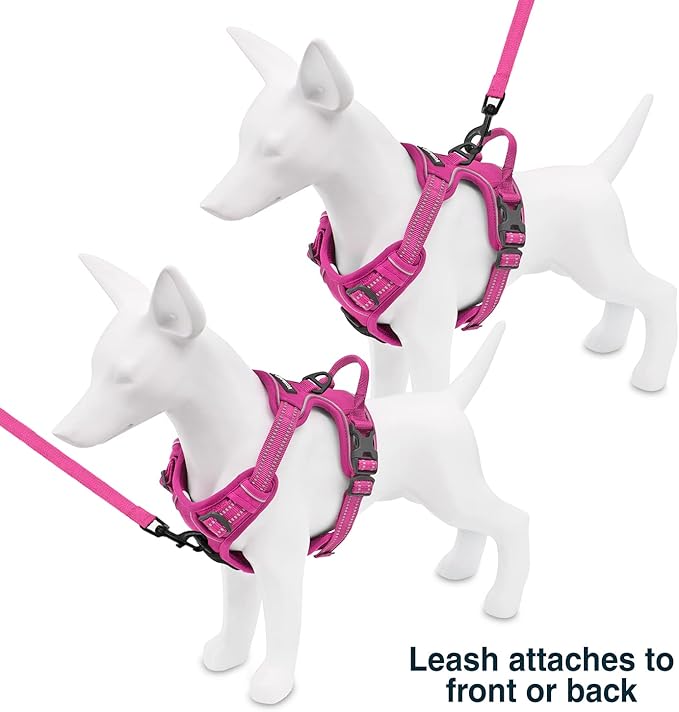 Voyager Dog Harness Dual Leash Attachment No-Pull Control Adjustable Soft but Strong Pet Harness for Medium and Large Dogs with 3M Reflective Technology, Fuchsia Nylon, L (Chest: 25-30")