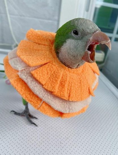 RRRIOT Adjustable Parrot Cone Collar, Safe and Practical Cotton Collar to Prevent Bites and Licking Wounds, to Help heal (M)