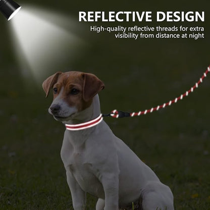 Dynmeow Reflective Dog Collar and Leash Set, 6FT Strong Climbing Rope Leash with Padded Handle, Adjustable Pet Collar with Soft Neoprene Padding for Puppy Small Dogs, Red, Xs