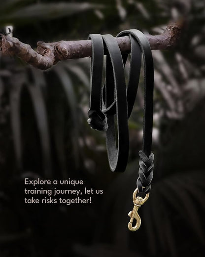 FAIRWIN Leather Dog Leash 6 Foot - Braided Military Grade Heavy Duty Dog Leash for Large Medium Small Dogs Training and Walking (Black, S:1/2" x 6ft)