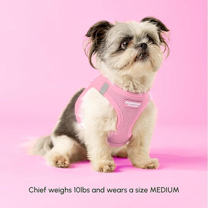 Downtown Pet Supply Step in Dog Harness for Small Dogs - Adjustable, Escape Proof Dog Harness with Reflective Trim - All-Weather, Fast-Drying Padded Mesh Fabric - Baby Pink, XXS